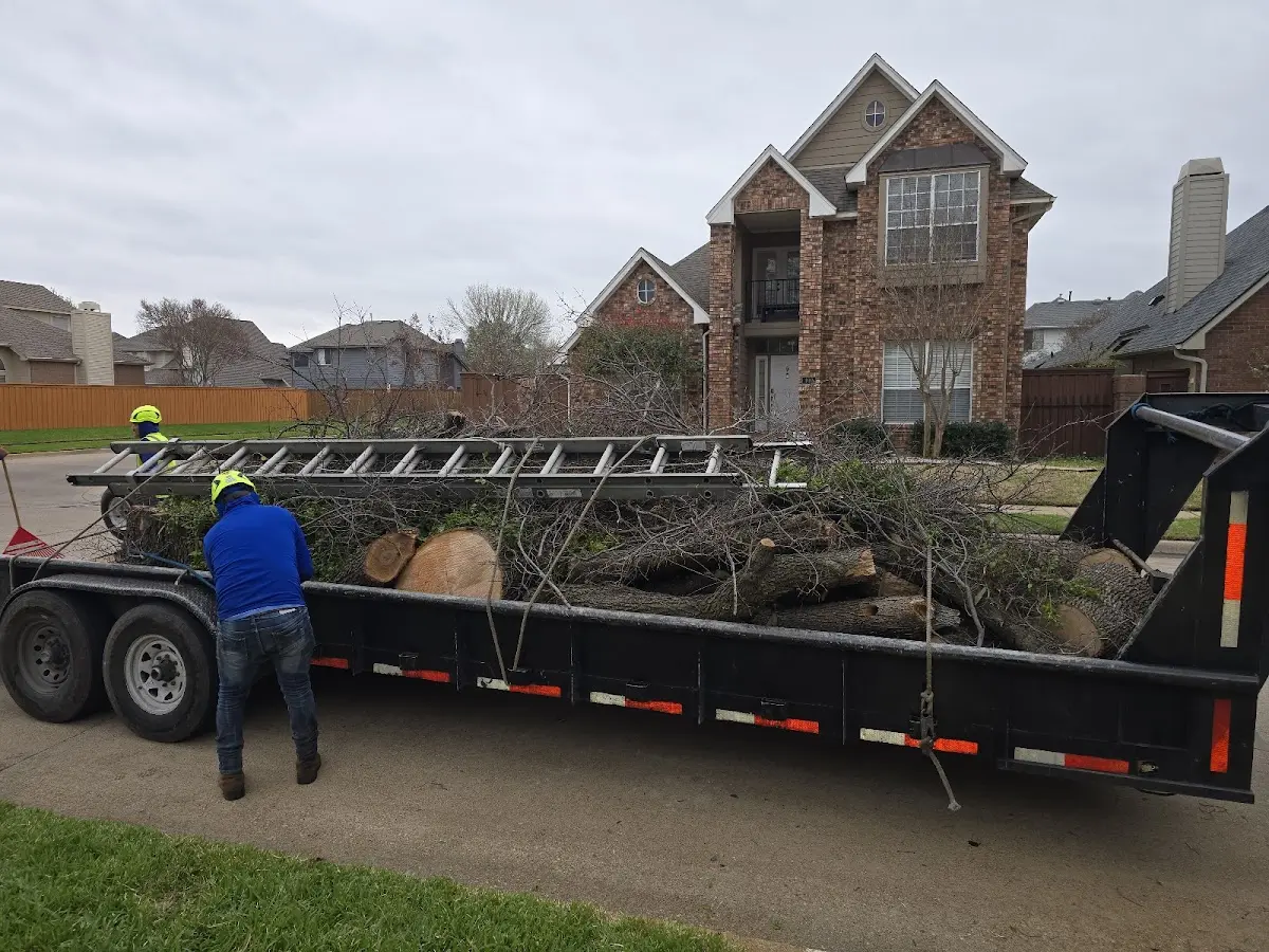 Expert Lot Clearing with proper safety equipment in West Davenport